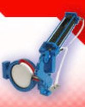 pneumatically actuated butterfly valve  Reg Technology