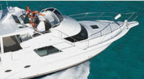 polyester resin C520-B series AOC