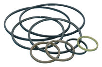 PTFE O-ring seal  LS Kunststofftechnologie GmbH