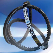 raw edge transmission V-belt  Challenge Power Transmission Plc