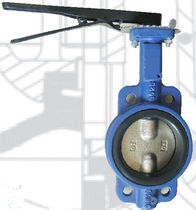 resilient seated wafer butterfly valve  Reg Technology