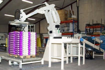 robotic palletizer: articulated type max. 4 000 U/h Ehcolo A/S