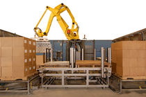 robotic palletizer: articulated type  Brenton Engineering
