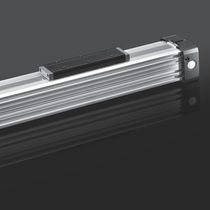 rodless pneumatic cylinder  Romani Components Srl