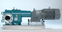 rotary lobe transfer pump  Boerger