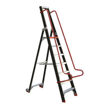 safety ladder  RAYONOR