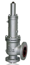 safety relief valve 1 - 12", class 2 500 | 3-5403 PARCOL