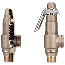 safety relief valve N9B_N9LB Golden Mountain Enterprise