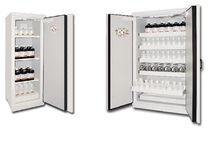 security storage: stainless steel cabinet for inflammable products Range 7.90 Trionyx