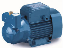 self-priming centrifugal liquid ring pump max. 50 l/min | NPP-CK series TESTUD