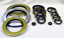 shaft seal  PEER Bearing