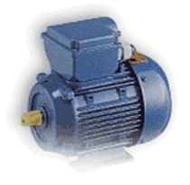 single-phase asynchronous electric motor max. 2.2 kW TEE T&uuml;rk Elektrik