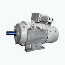 slip-ring wound rotor three-phase asynchronous electric motor 0.35 MW, 0.65 kV CG Power Systems