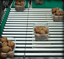 sorter for food industry  NEMESIS