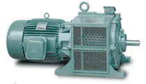 squirrel cage induction motor  TECO Industrial Motors & Applications