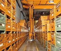 stacker crane 2 - 3.5 t BONFANTI