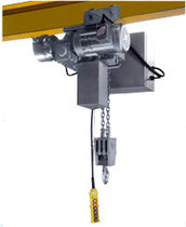 stainless steel electric chain hoist  David Round Company, Inc.
