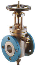 stainless steel gate valve DUCROUX Reg Technology