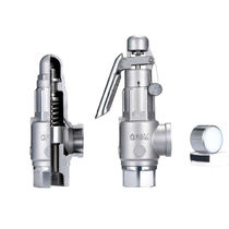 stainless steel safety relief valve 1/2 - 2" | N8S_N8LS Golden Mountain Enterprise