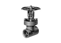 steel gate valve max. 3705 psi  Flowserve Corporation Europe