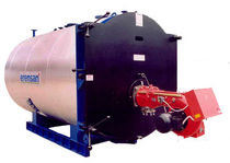 superheated water boiler 45 - 110 kg/h Erensan