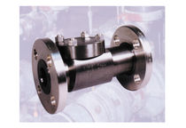 swing check valve min. 1/2" | Noble Alloy  Flowserve Corporation Europe