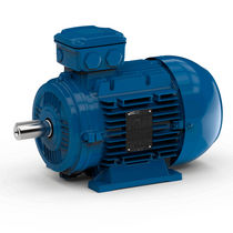three-phase asynchronous electric motor 210 - 690 VAC Watt Drive Antriebstechnik GmbH