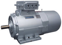 three-phase asynchronous electric motor 400 - 500 V Schorch