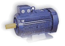 three-phase asynchronous electric motor 4 - 55 kW TEE T&uuml;rk Elektrik