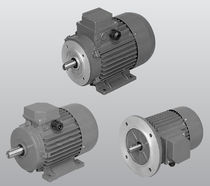 three-phase asynchronous electric motor  SATI