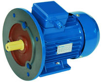 three-phase asynchronous squirrel cage electric motor IP 55 | GOST АИP series FUFA motor
