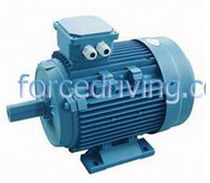 three-phase asynchronous squirrel cage electric motor 0.18 - 315 kW China Forcedriving Group Ltd.