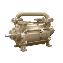 two stage liquid ring vacuum pump max. 3 500 RPM | DV series Dekker Vacuum Technologies