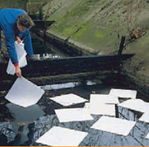 universal sorbent: pads, rolls 43 x 48 cm GROUPE RG
