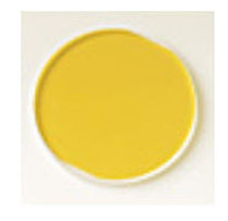 UV-reject optical filter  HOYA CANDEO OPTRONICS