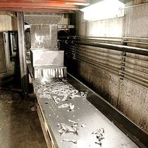vibrating conveyor  PRAB