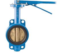 wafer butterfly valve 2" - 12", 200 psi | BF-04 Watts Water Technologies