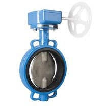 wafer butterfly valve DN 25 - 1 600 | BV10 Belven nv