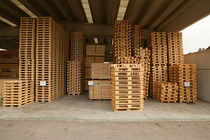 wooden pallet  CAMPIA Imballaggi