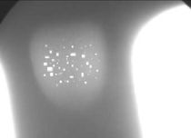 X-ray image visualisation software MAXIenhance� Jacobsen Real-Time X-Ray Machinery Inc.