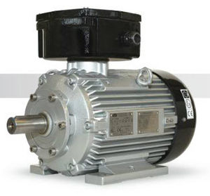 asynchronous motor / low-voltage / 690 V / explosion-proof