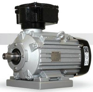 asynchronous motor / squirrel cage / 230-460 V / high-efficiency
