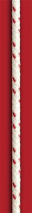 dynamic rope / polyolefin / polyester / security