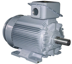 asynchronous motor / cast iron frame / squirrel cage / explosion-proof