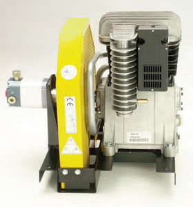 water pump / with combustion engine / piston / compact