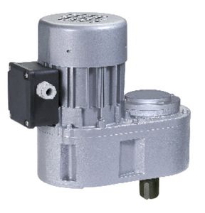 asynchronous electric gearmotor / parallel-shaft / shaft-mounted / for sliding gates