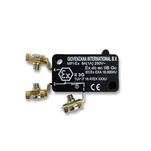 lever micro-switch / snap-action / electromechanical