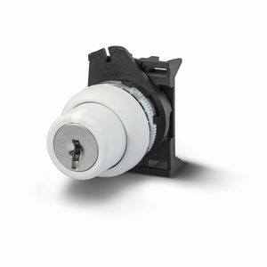 rotary switch / key lock / multipole