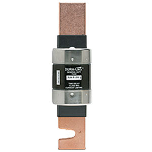 blade fuse / time delay / Class RK5