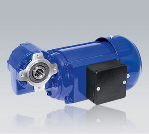 AC electric gearmotor / three-phase / right-angle / worm